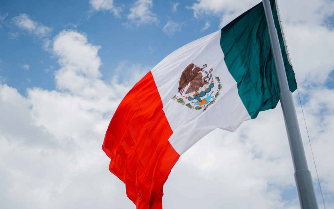 Fleet Management in Mexico