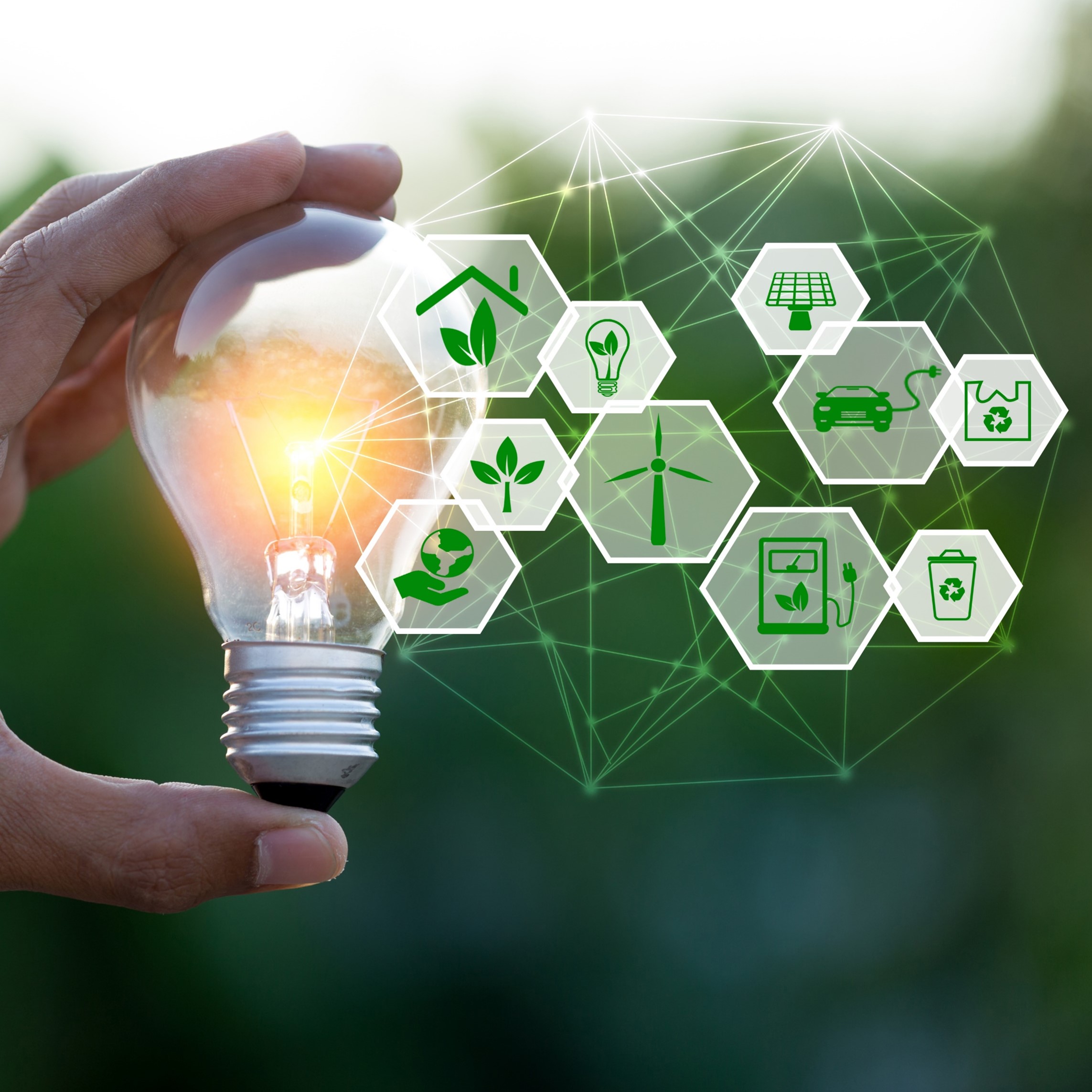 TraXall Int. bulb co2